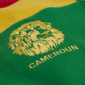 Détails du logo de l'équipe du Cameroun avec un lion.